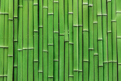 7 Reasons Why You Should Start Using Bamboo Fabric