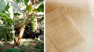Banana Fibre for Sustainable Fashion and Beyond