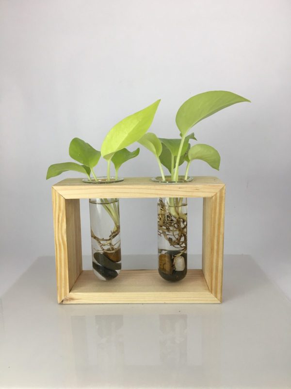 Desktop Garden - Twin Hydroponic Planter