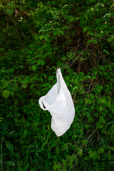 15 Serious effects of plastic bags