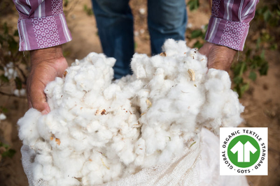 Is Organic Cotton Sustainable? Here’s What You Need to Know