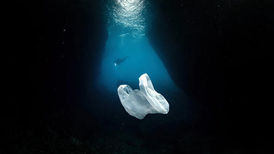 Plastic or The Environment ?