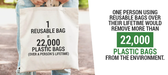 Why Are Cloth Bags Better Than Plastic?