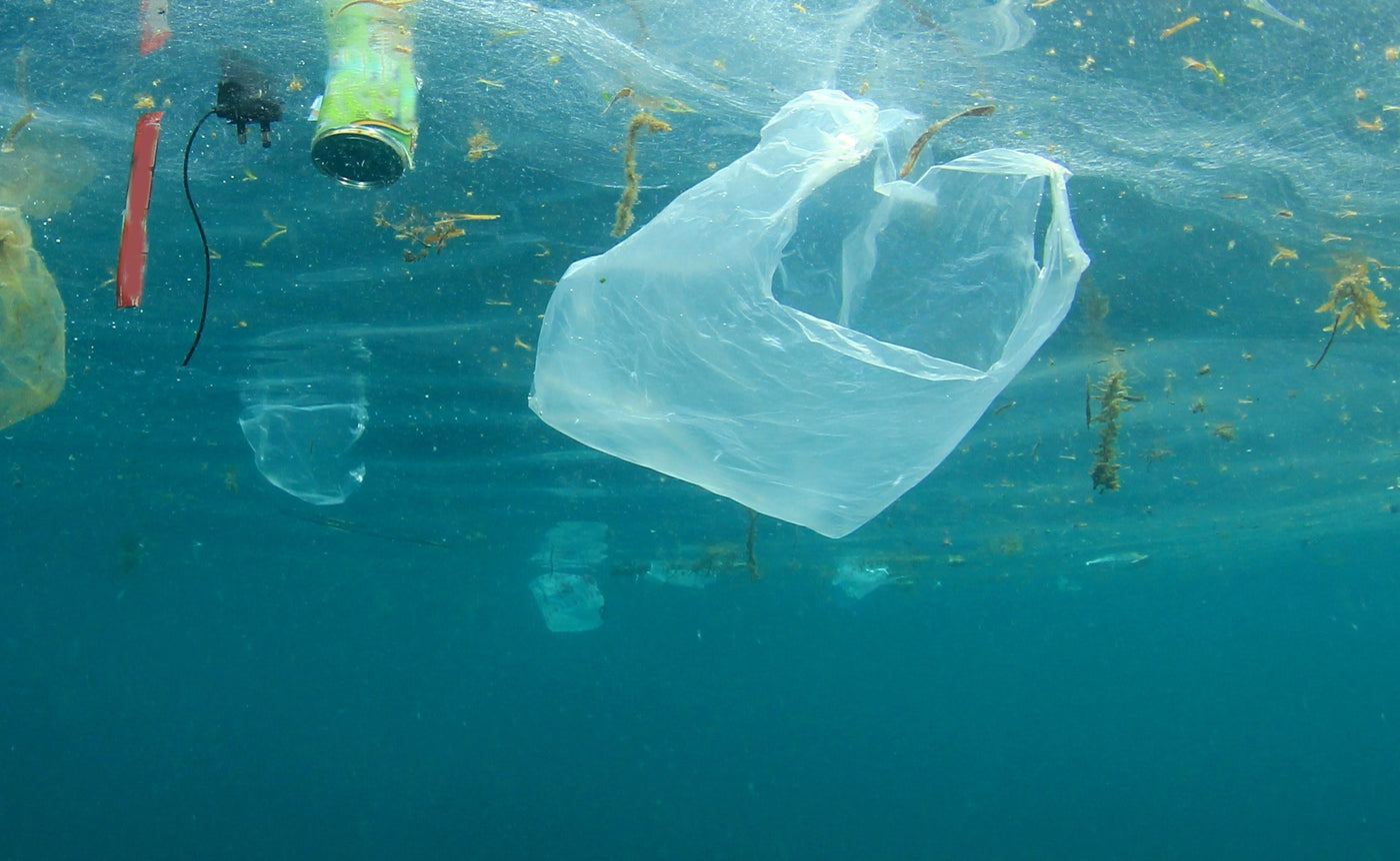 Will Banning Plastic Bags Actually Save the Planet?