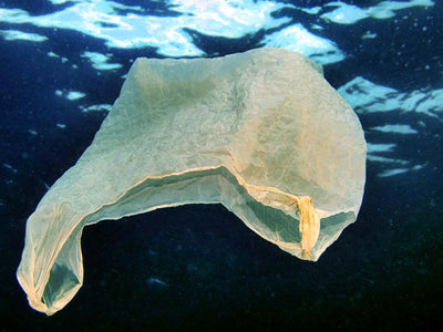 Plastic Bags: What’s The Difference Between Degradable, Compostable and Biodegradable?