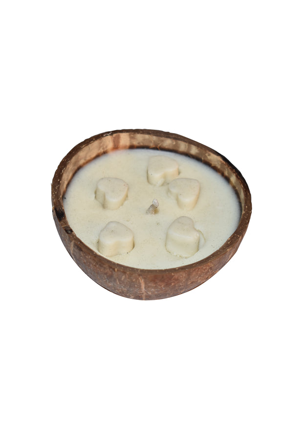 Lavendar HANDMADE COCONUT SHELL CANDLE