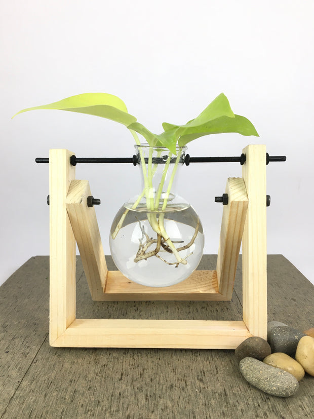 Desktop Garden - Pendulum Hydroponic Planter