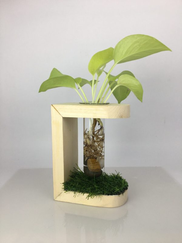 desktop hydroponic planter Desktop Garden