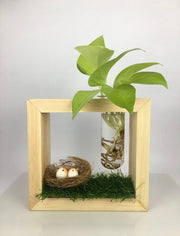 Desktop Garden - Levitating Test Tube  Hydroponic Planter With Bird Nest