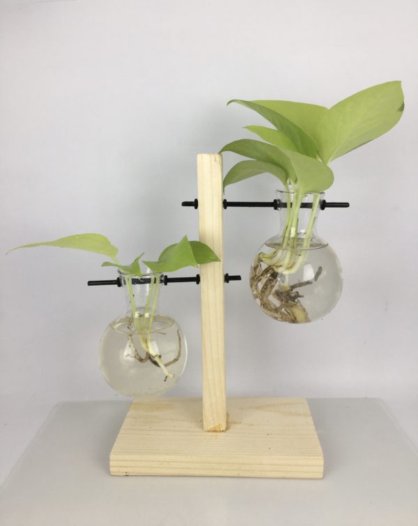 Desktop Garden - Weighing Scale (Uneven ) Hydroponic Planter