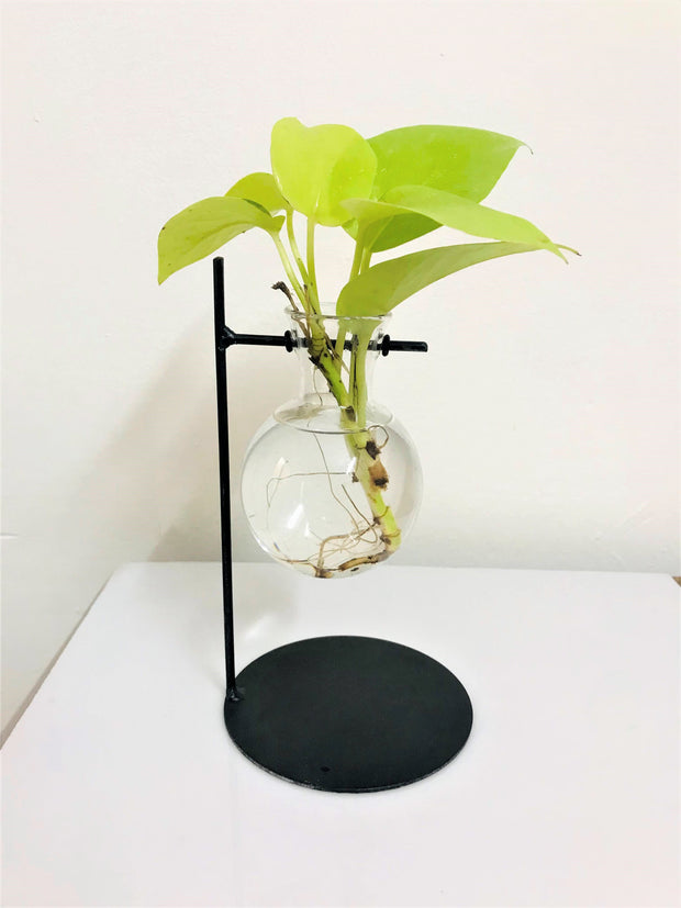 DESKTOP GARDEN - FLOATING BULB METAL PLANTER