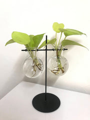 Desktop Garden - Weighing scale metal Planter