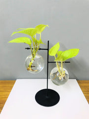 DESKTOP GARDEN - WEIGHING SCALE UN EVEN METAL PLANTER