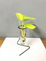 Desktop Garden - Z metal Planter