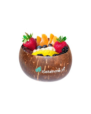 Jumbo Coconut Food Bowl (Set of 2)