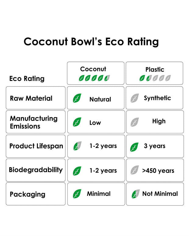 Eco Friendly Jumbo Raw Coconut Bowl (10-11 cm diameter)-Pack Of 1