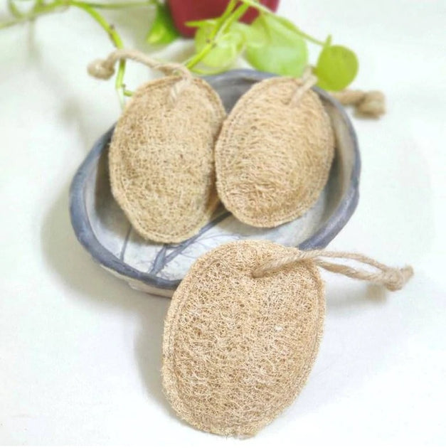 Natural Plant based loofah-Set of 3 Bathing sponge or scrub – sustainme.in