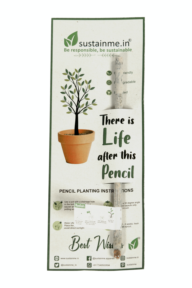 Recycled Paper Plantable Pencil 1 Pack