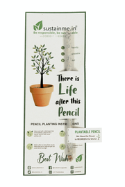 Recycled Paper Plantable Pencil 5 Pack