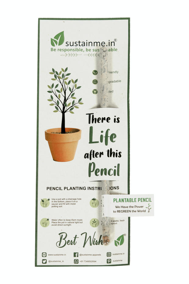 Recycled Paper Plantable Pencil 5 Pack