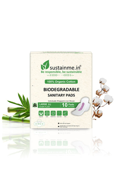 Biodegradable Sanitary Pads - Regular 240 mm (Pack Of 10)
