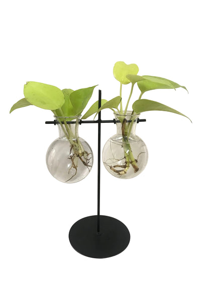 Desktop Garden - Weighing scale metal Planter