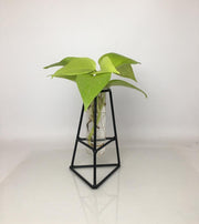 DESKTOP GARDEN - TRIPOD METAL PLANTER