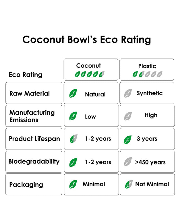 Coconut raw Food Bowl - set of 2