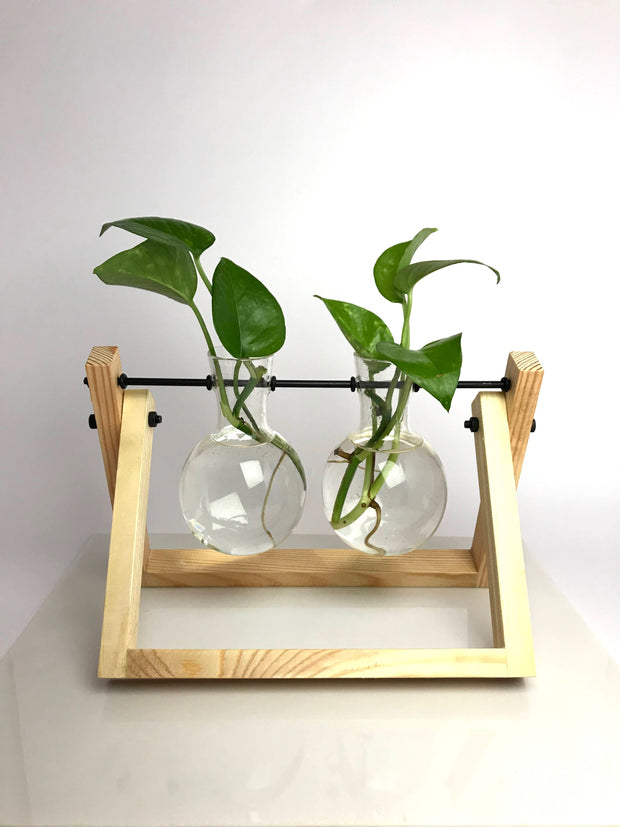 desktop hydroponic planter Desktop Garden