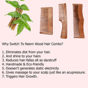 Neem Wood Comb Set