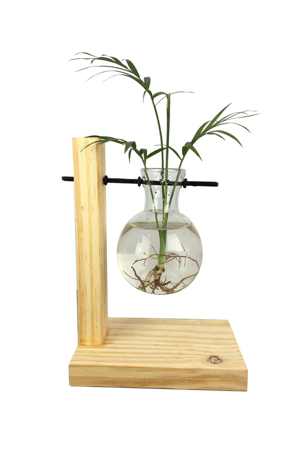 Desktop Garden - Floating Bulb Hydroponic Planter