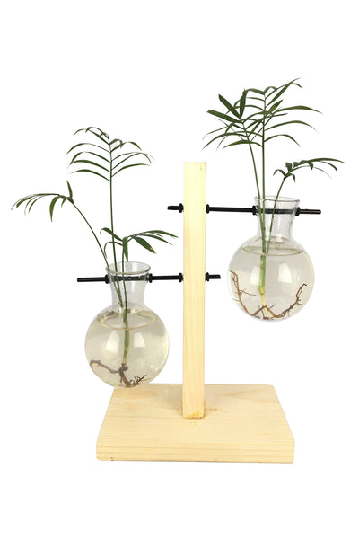 Desktop Garden - Weighing Scale (Uneven ) Hydroponic Planter