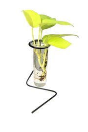 Desktop Garden - Z metal Planter