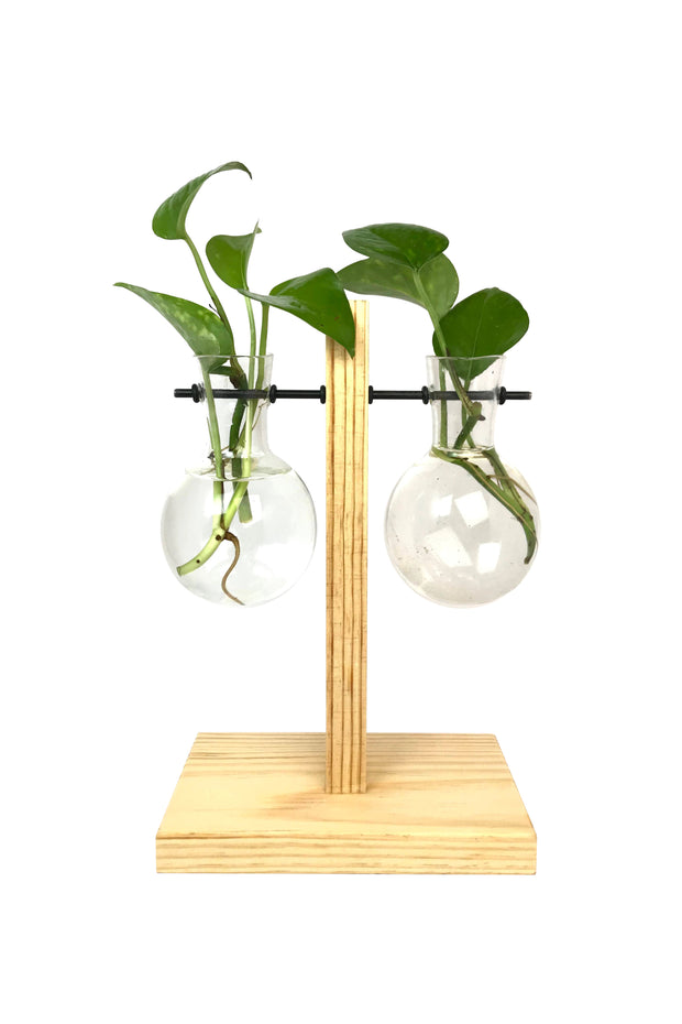 Desktop Garden - Weighing Scale Hydroponic Planter