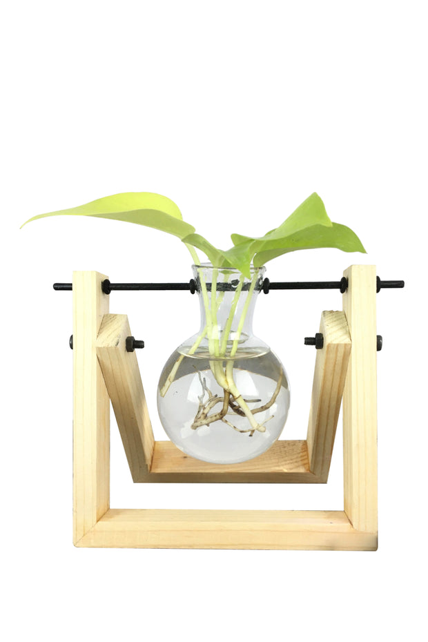 Desktop Garden - Pendulum Hydroponic Planter