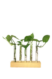 DESKTOP GARDEN - Series test tube planter -1
