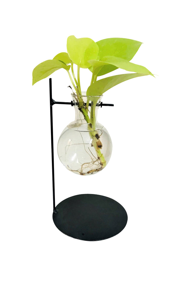 DESKTOP GARDEN - FLOATING BULB METAL PLANTER