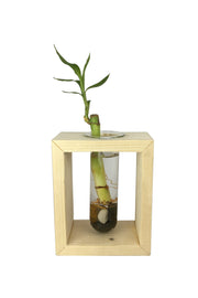 Desktop Garden - Single Test Tube Hydroponic Planter
