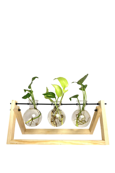 DESKTOP GARDEN - TRIPLE PENDULUM HYDROPONIC PLANTER