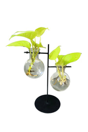 DESKTOP GARDEN - WEIGHING SCALE UN EVEN METAL PLANTER