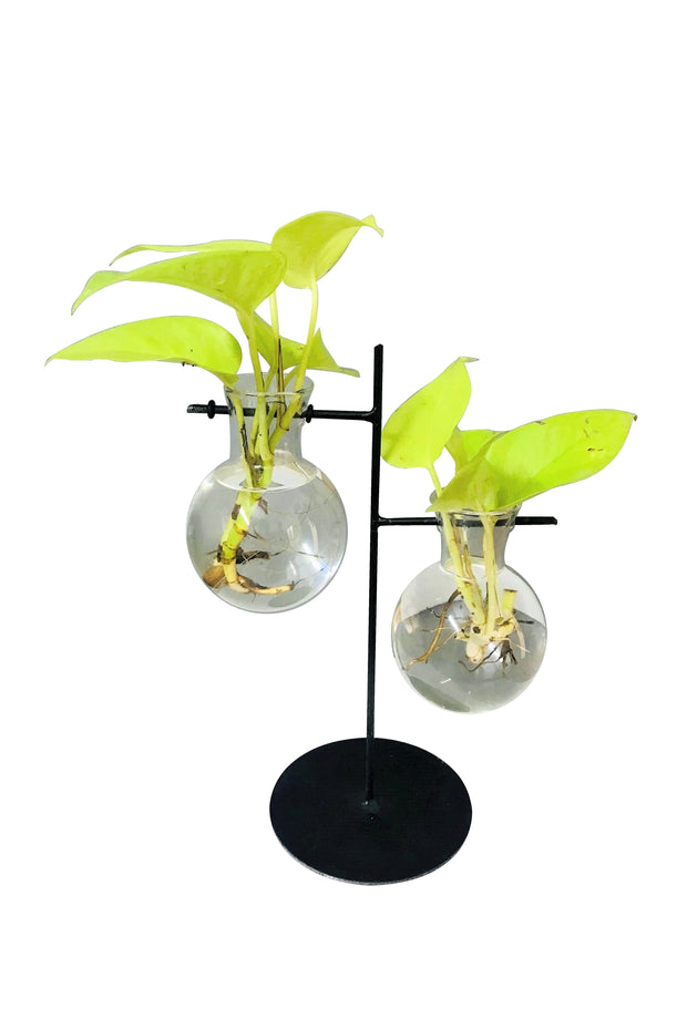 DESKTOP GARDEN - WEIGHING SCALE UN EVEN METAL PLANTER