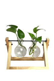 Desktop Garden - Dual Pendulum Hydroponic Planter