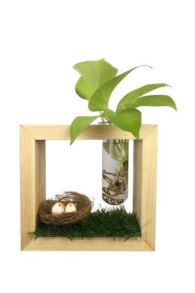 Desktop Garden - Levitating Test Tube  Hydroponic Planter With Bird Nest
