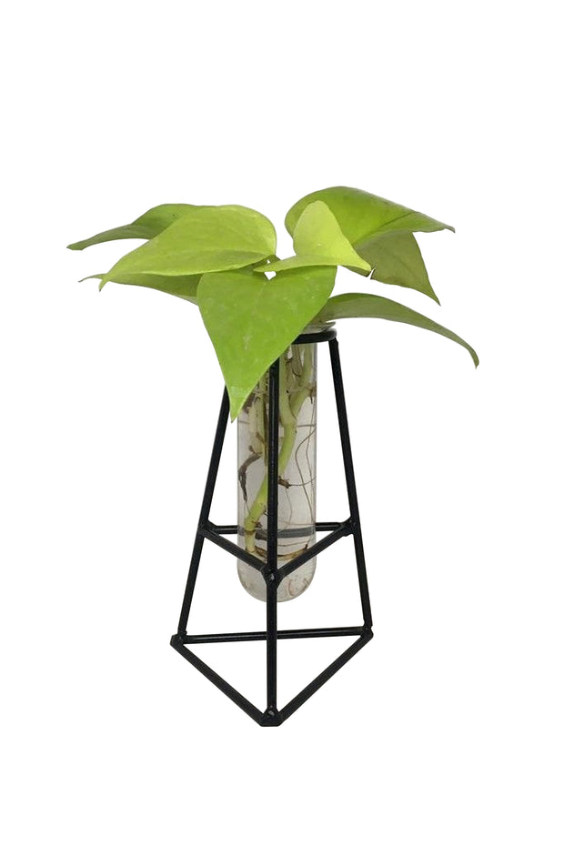 DESKTOP GARDEN - TRIPOD METAL PLANTER