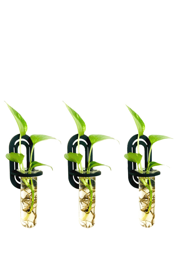 DESKTOP GARDEN - Wall hanging planter ( Set of 3)