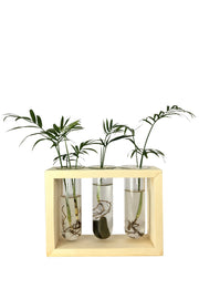 Desktop Garden - Triple Hydroponic Planter