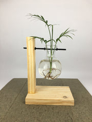 Desktop Garden - Floating Bulb Hydroponic Planter